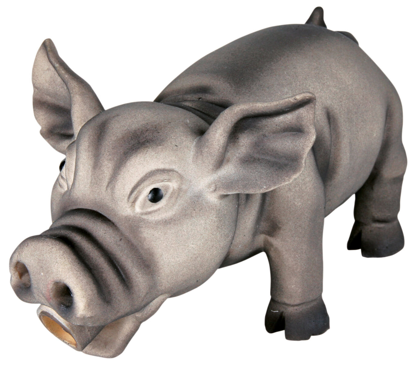 Schwein