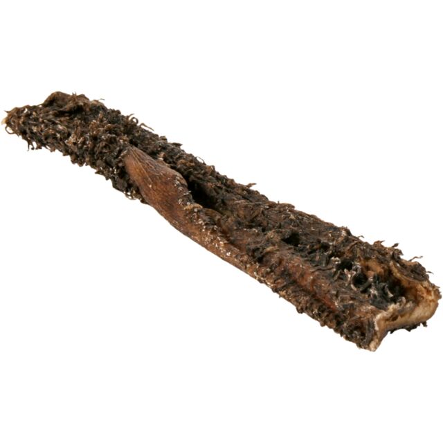 Buffalo Snack, Büffelpansen