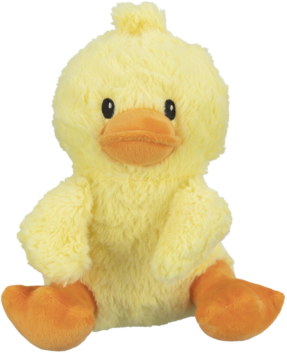 Ente
