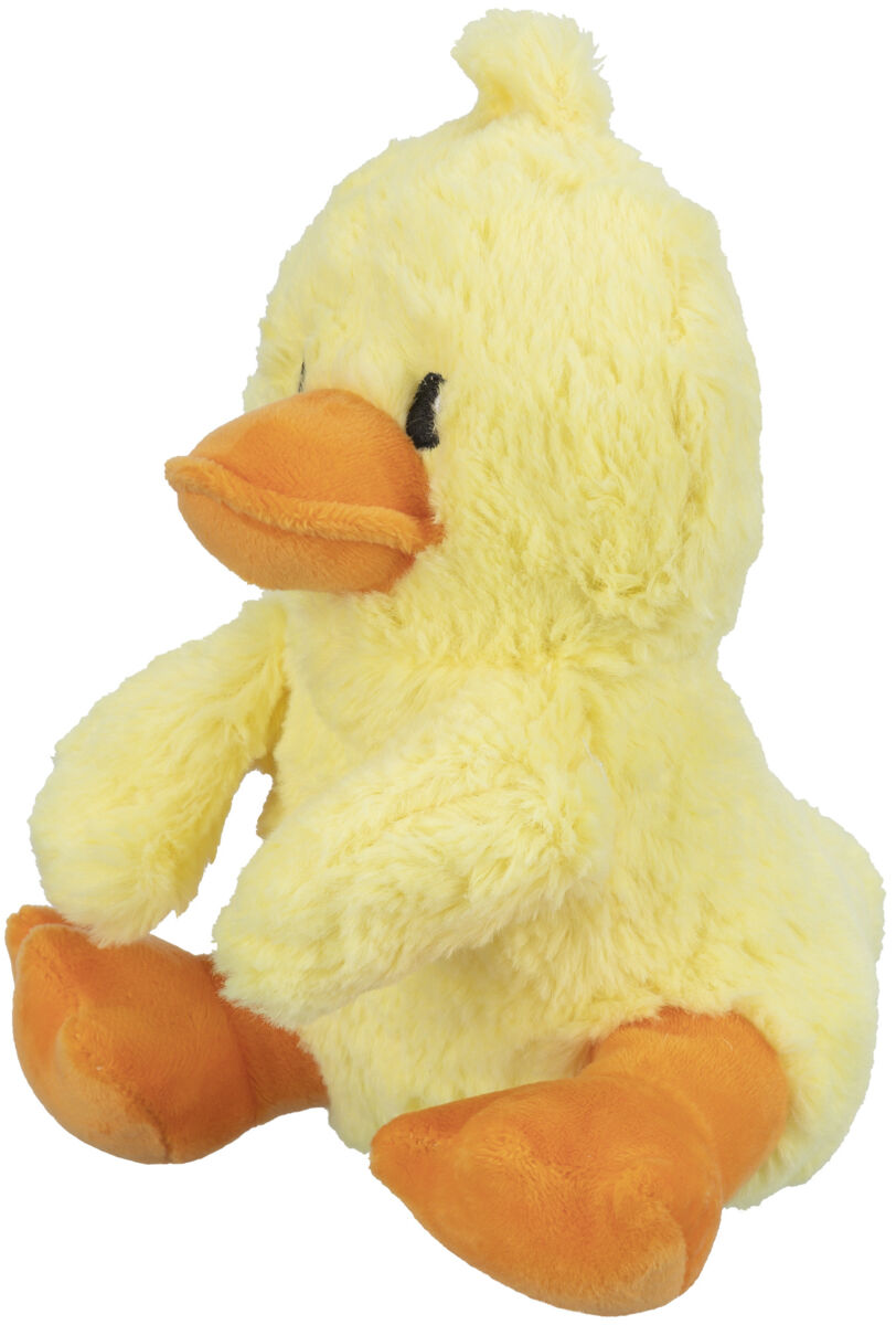Ente