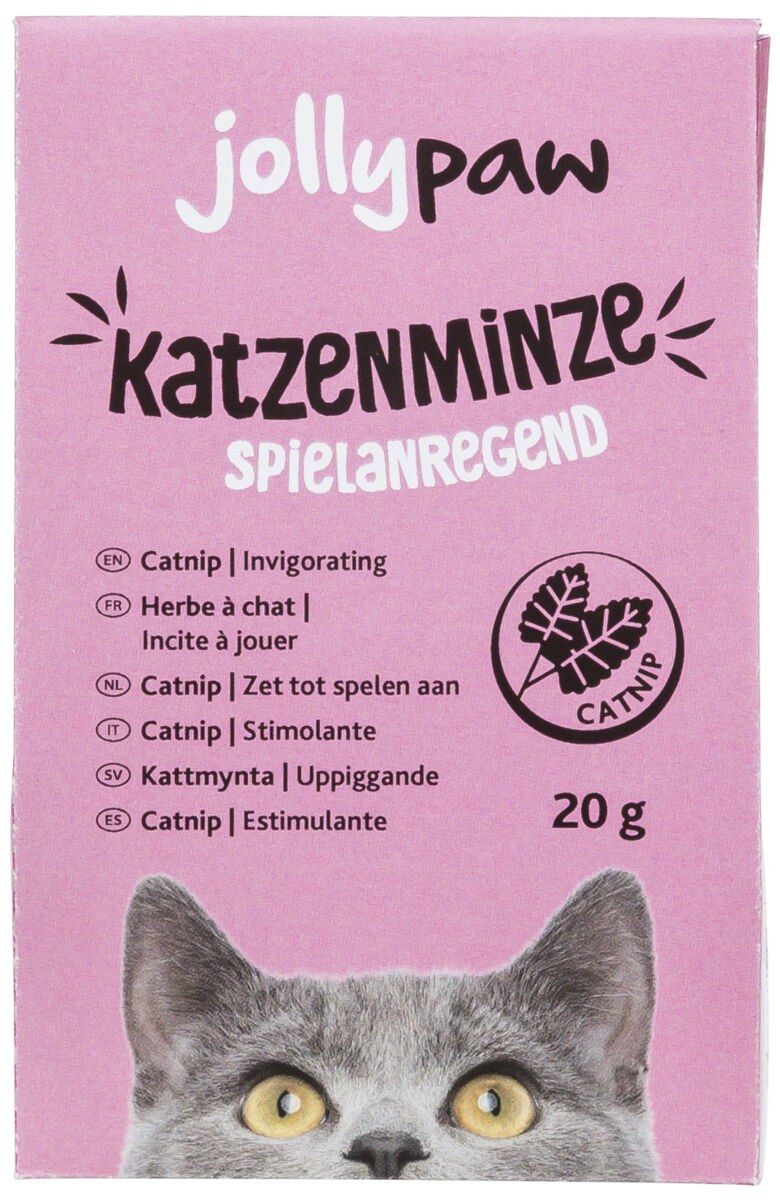 Katzenminze