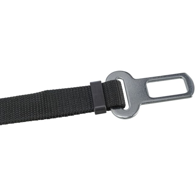 zo-th-1