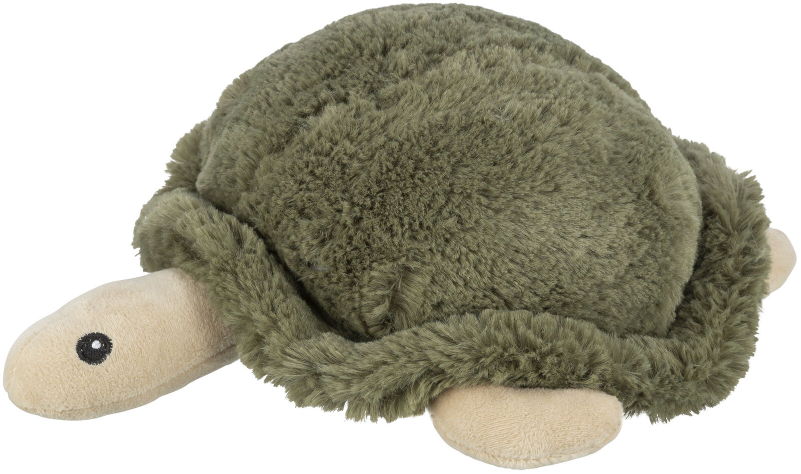 Schildkröte
