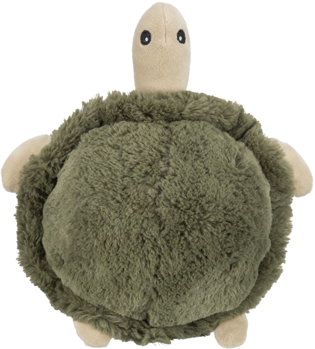 Schildkröte