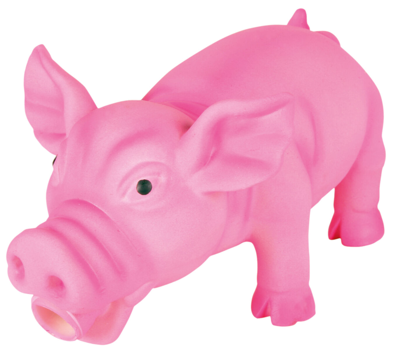 Schwein