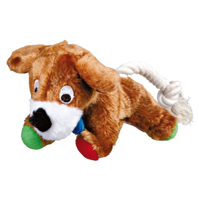 Hund