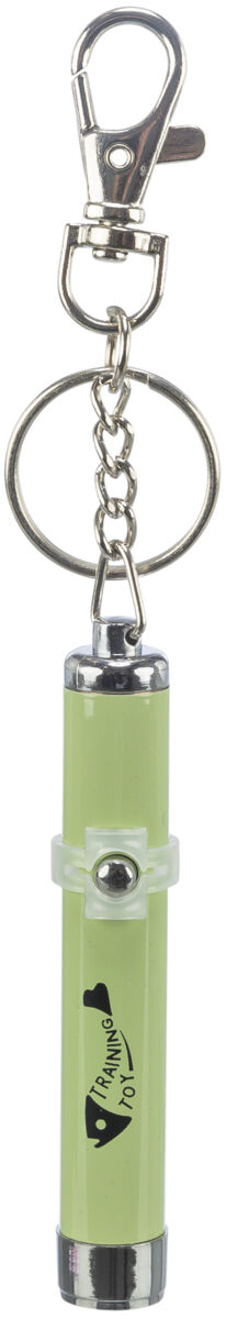LED Pointer