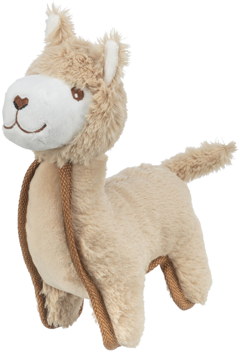 Lama