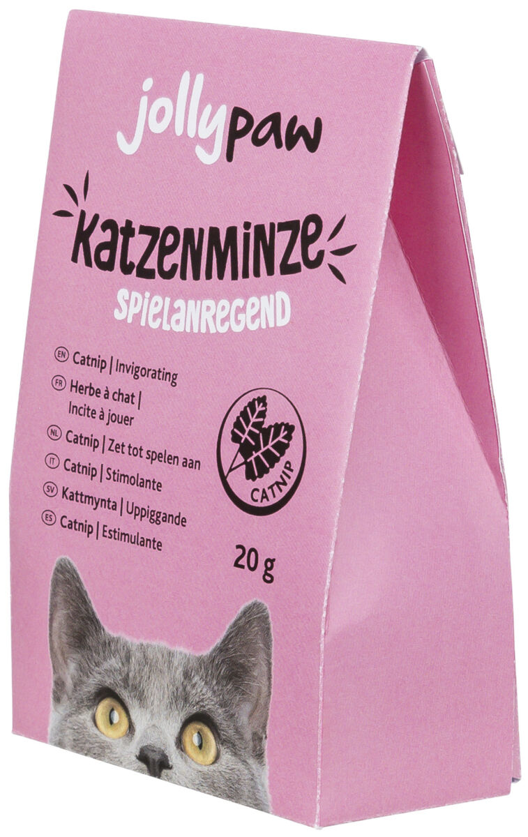 Katzenminze