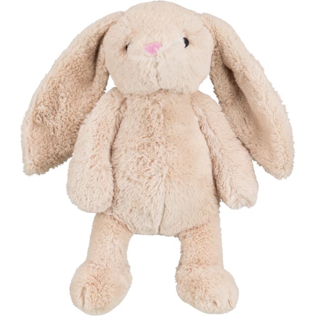 Hase